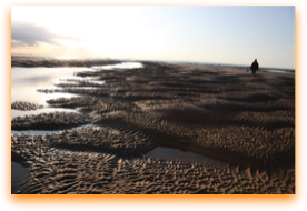 Goodwin Sands trip for film and photography